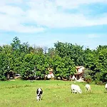 Domaine De Turistaház *